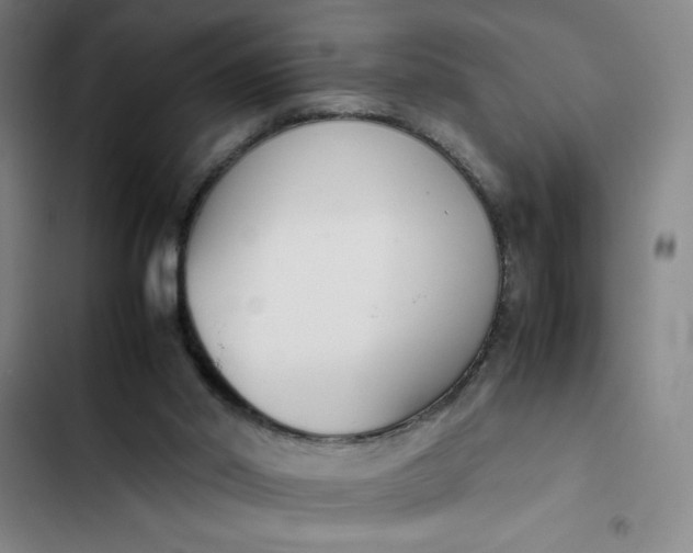 X0000102470014200808221654