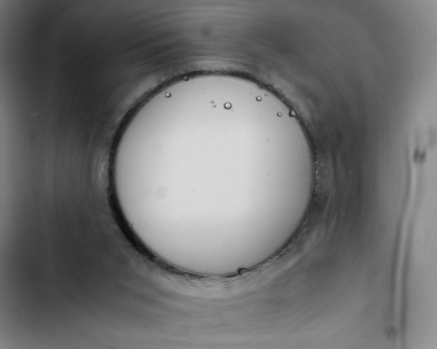 X0000102470015200808221654