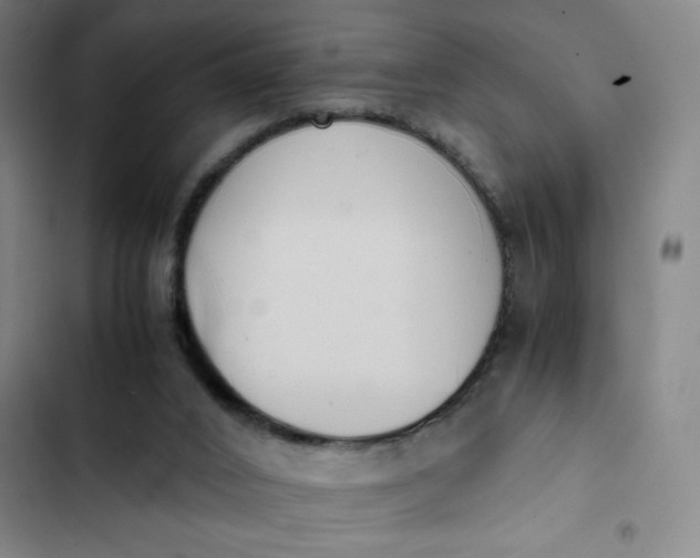 X0000102470016200808221654