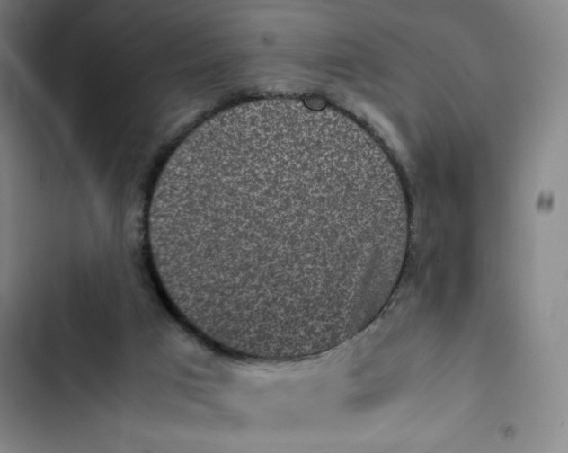 X0000102470017200808221654