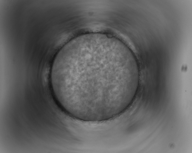 X0000102470018200808221654