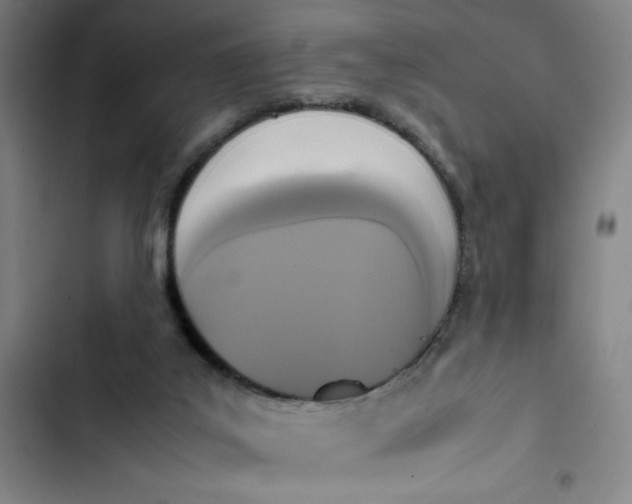 X0000102470019200808221654