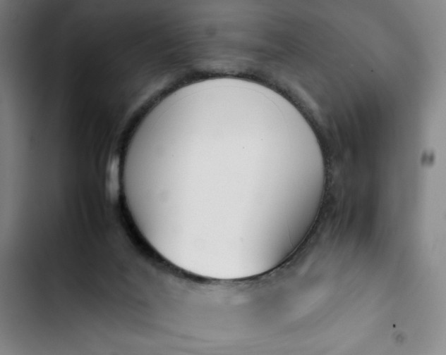 X0000102470020200808221654