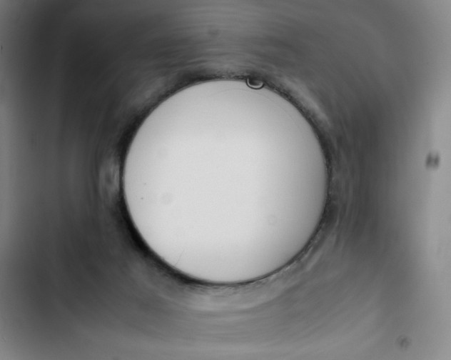 X0000102470021200808221654