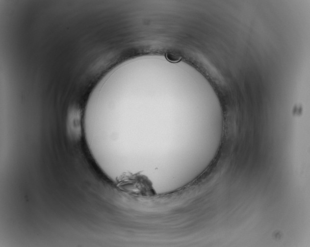 X0000102470022200808221654