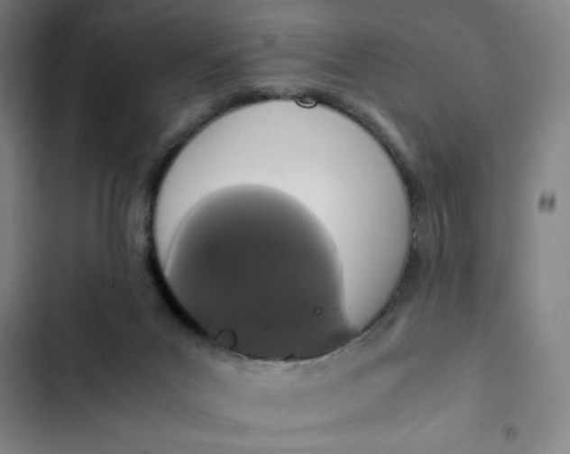X0000102470023200808221653