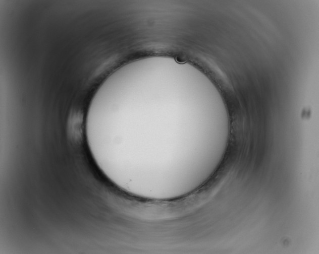X0000102470024200808221653