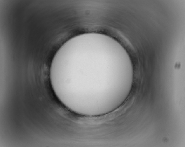 X0000102470025200808221653