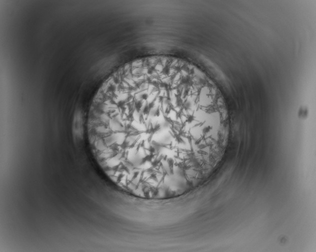 X0000102470026200808221653