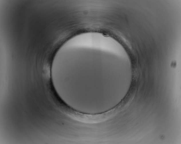 X0000102470027200808221653