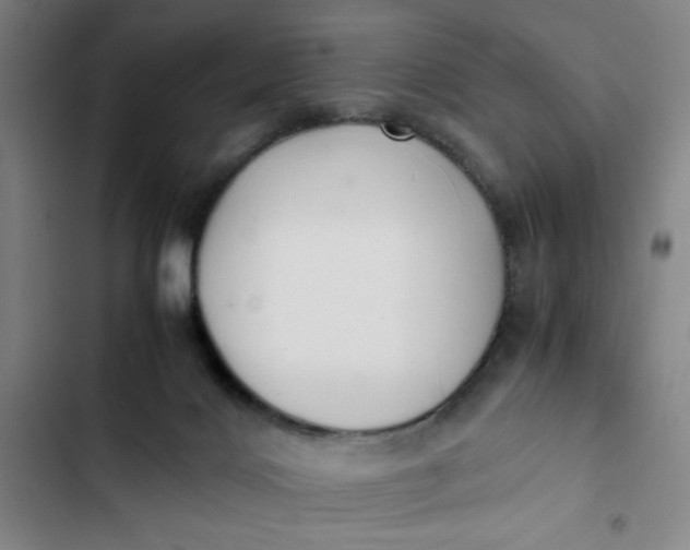X0000102470028200808221653