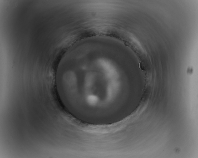 X0000102470029200808221653