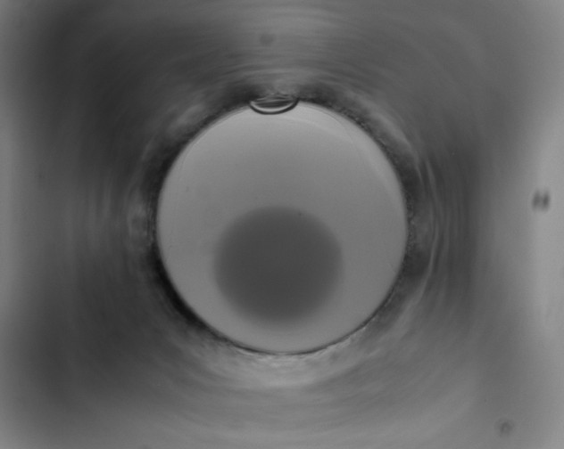 X0000102470031200808221653