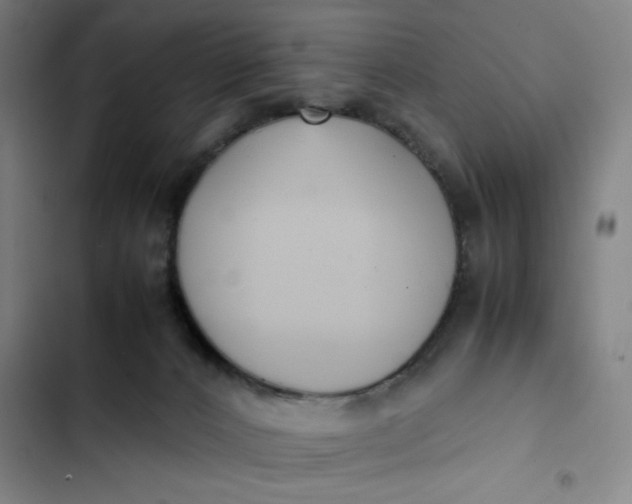 X0000102470032200808221653