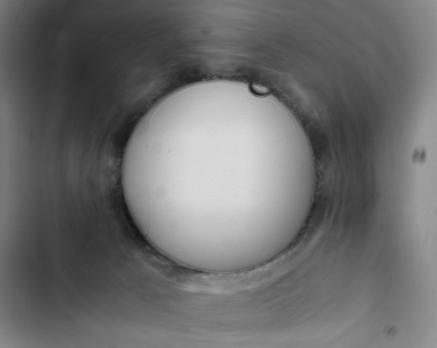 X0000102470033200808221653