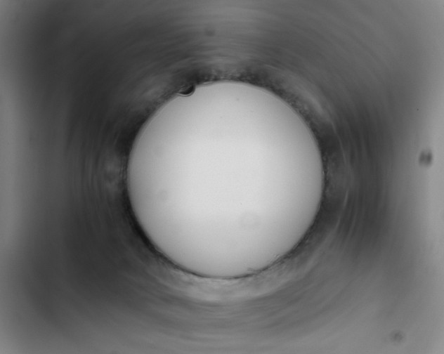 X0000102470034200808221653