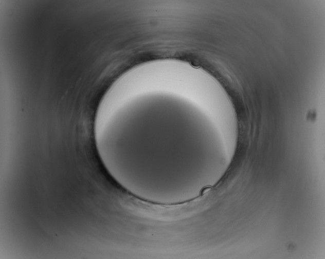 X0000102470035200808221653