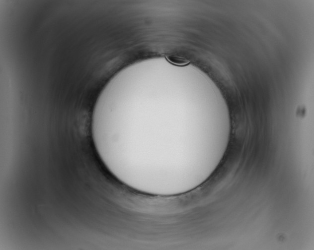 X0000102470036200808221653