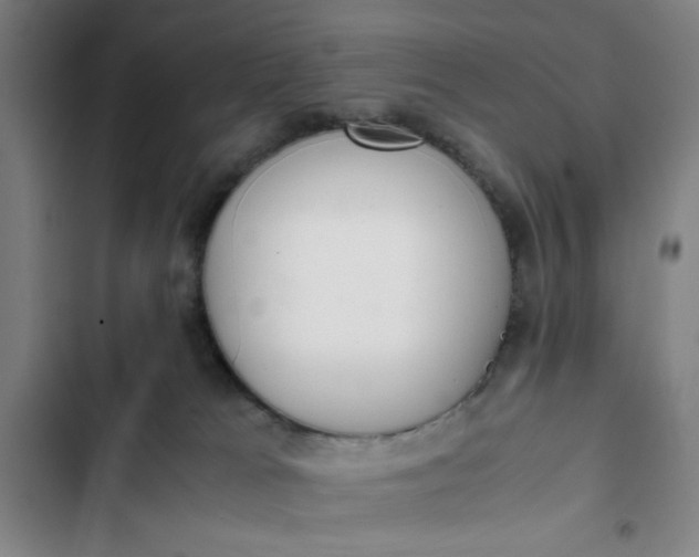 X0000102470037200808221653
