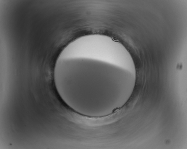 X0000102470039200808221653
