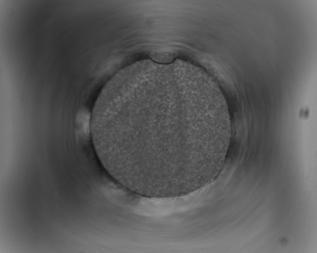 X0000102470041200808221653
