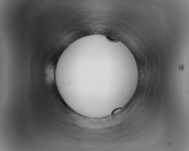 X0000102470042200808221653