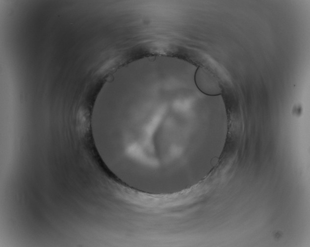 X0000102470043200808221653