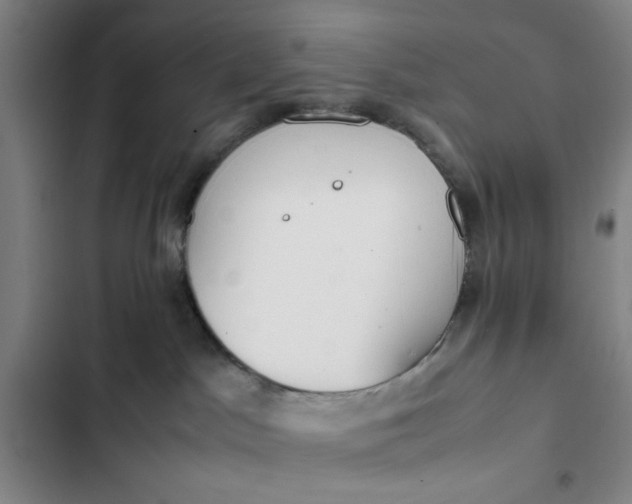 X0000102470045200808221653