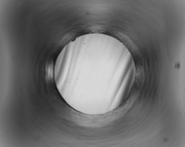 X0000102470046200808221653