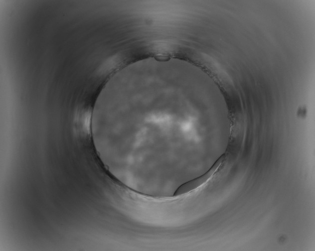 X0000102470047200808221653
