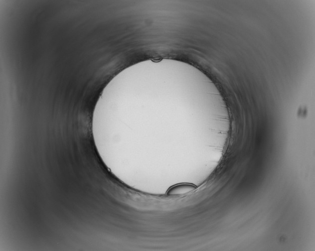 X0000102470048200808221653