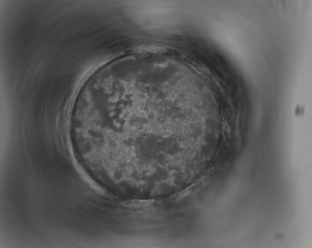 X0000102470049200808221652