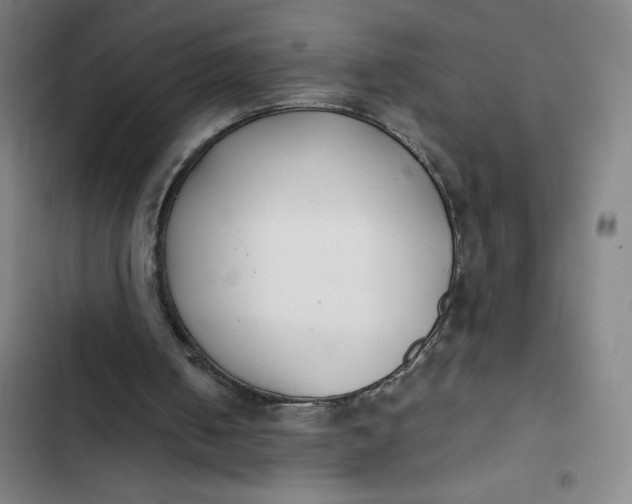 X0000102470050200808221652