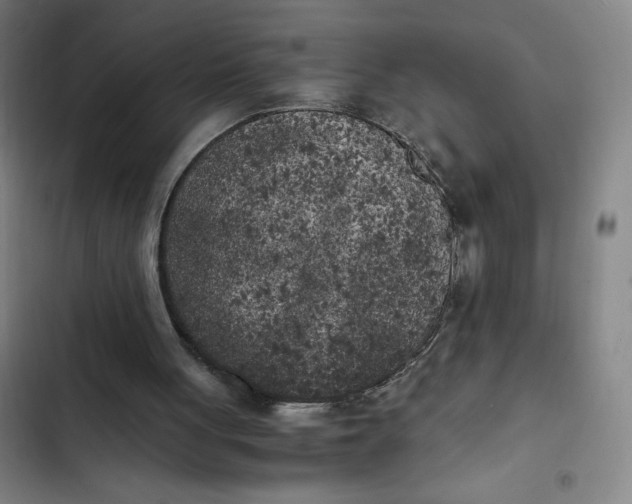 X0000102470051200808221652