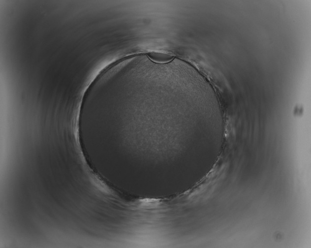 X0000102470052200808221652