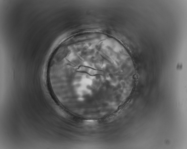 X0000102470053200808221652