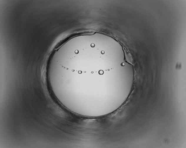 X0000102470054200808221653