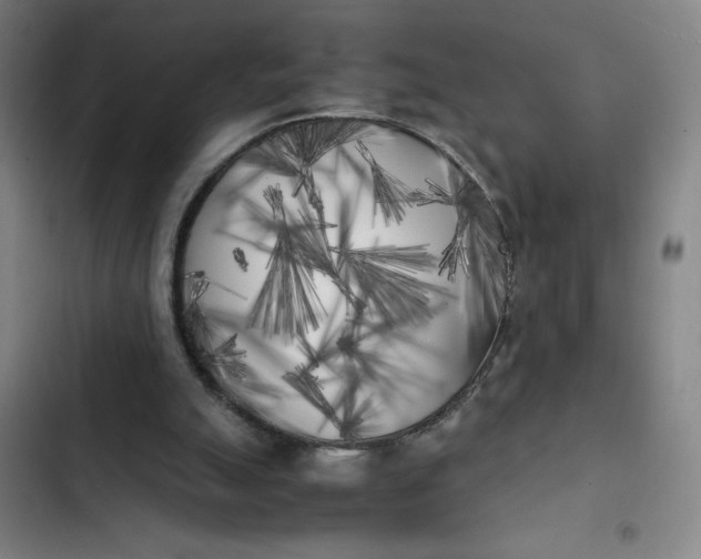 X0000102470055200808221653