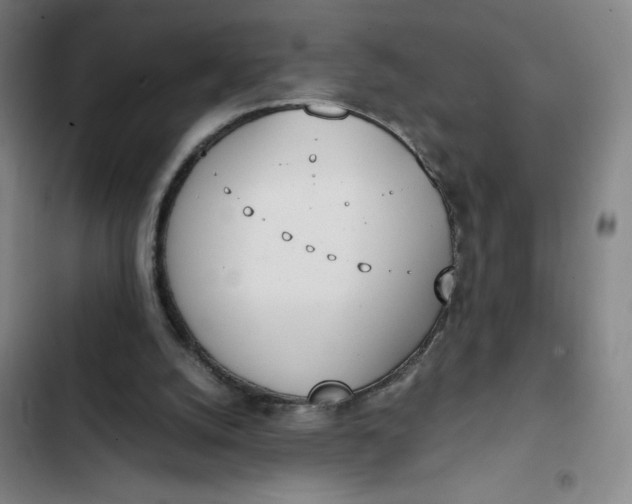 X0000102470056200808221653
