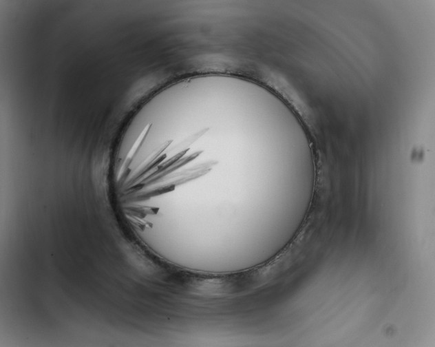 X0000102470058200808221653