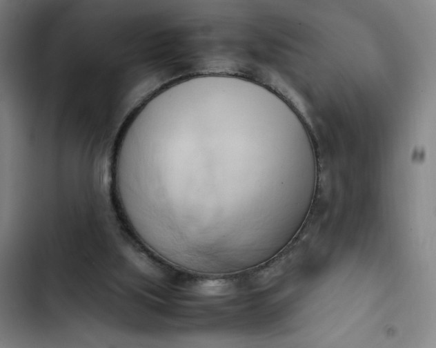 X0000102470059200808221653