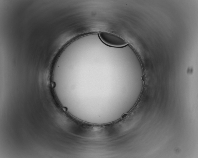X0000102470060200808221653