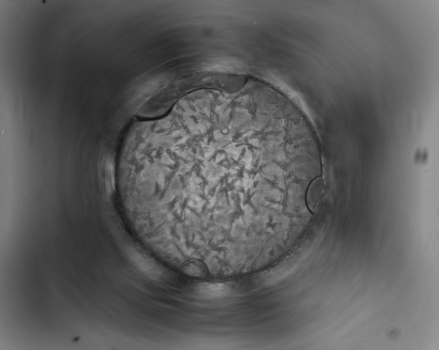 X0000102470061200808221653