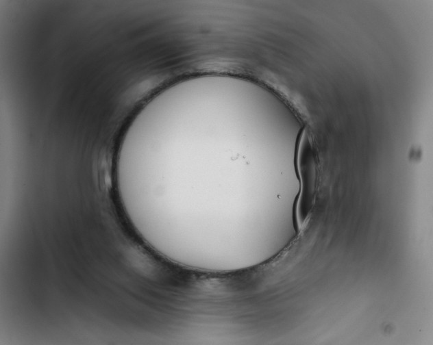X0000102470062200808221653