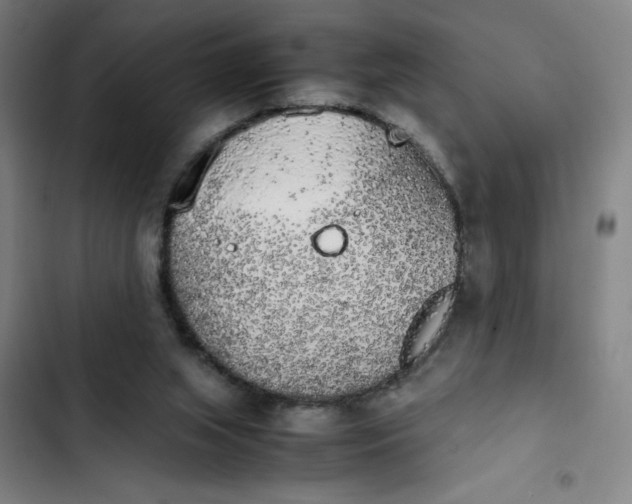 X0000102470063200808221653