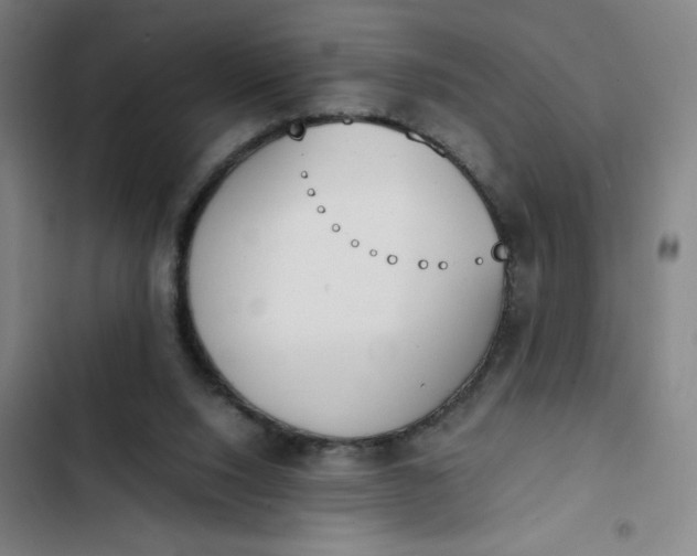 X0000102470064200808221653