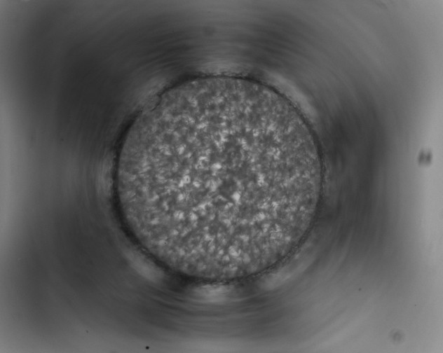 X0000102470065200808221653