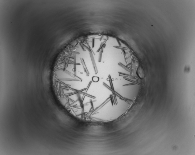 X0000102470066200808221653