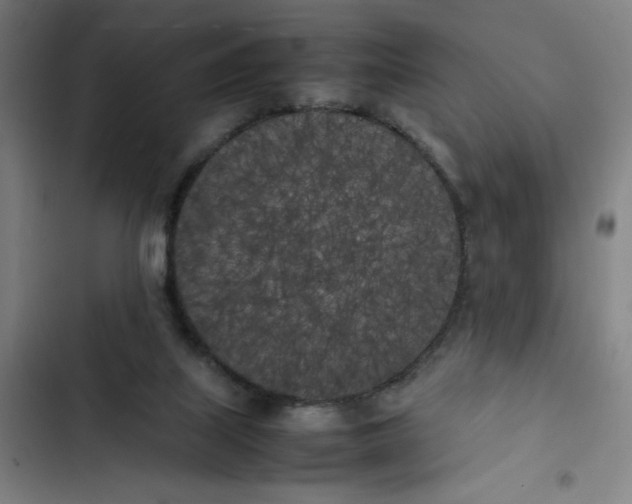 X0000102470067200808221653