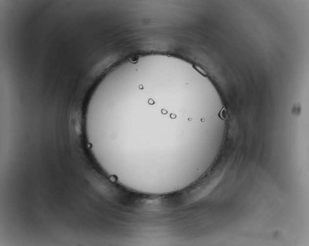 X0000102470068200808221653